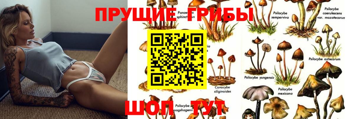 Галлюциногенные грибы мицелий Новошахтинск